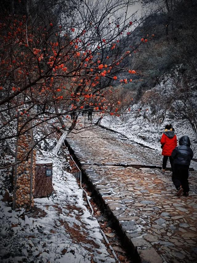 美如仙境！韶关这个地方迎来今年首场冰挂雾凇景观，秋冬来旅行，赏雪泡泉看红枫为你安排好了