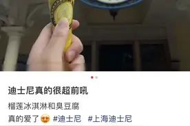 上新！上海迪士尼开始卖臭豆腐和榴莲了图片