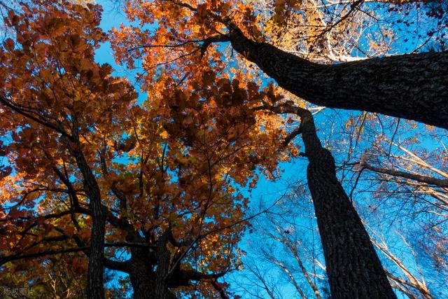 从湖南去了一趟伊春，实话实说，回来才发现朋友圈都是骗人的？