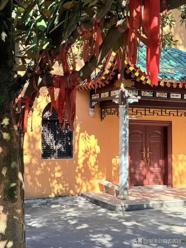 遛娃休闲两不误，在长沙“小禾木”邂逅12月初的灿烂风光！