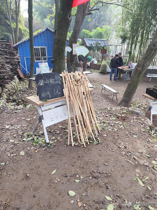 又见山山红叶飞