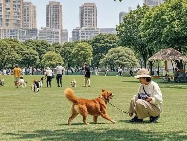 市集、萌宠、免费茶咖...粤海街道海珠社区生活节邀你解锁N种潮趣生活