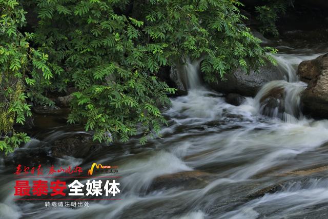 青绿泰山 清凉一夏丨泰山天外村：夏日避暑的宝藏地，清凉景致藏不住