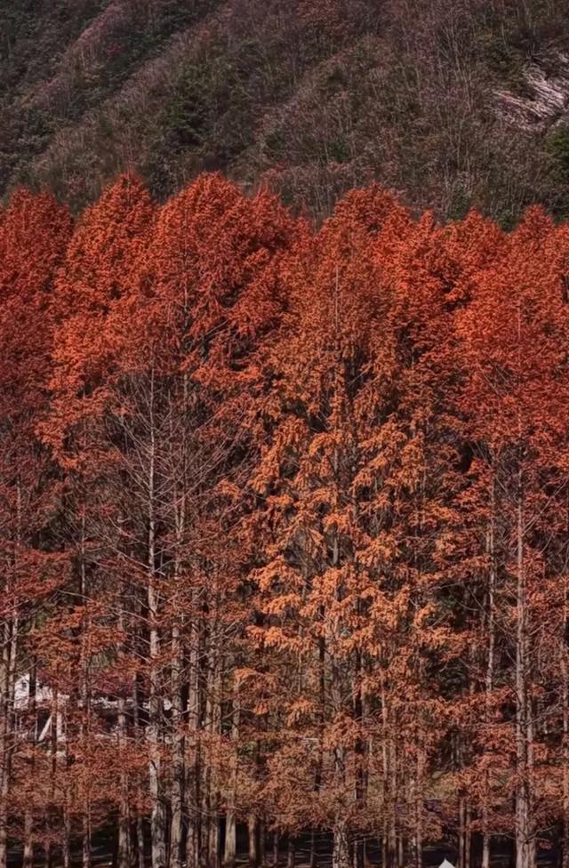 美不胜收的陕南美景