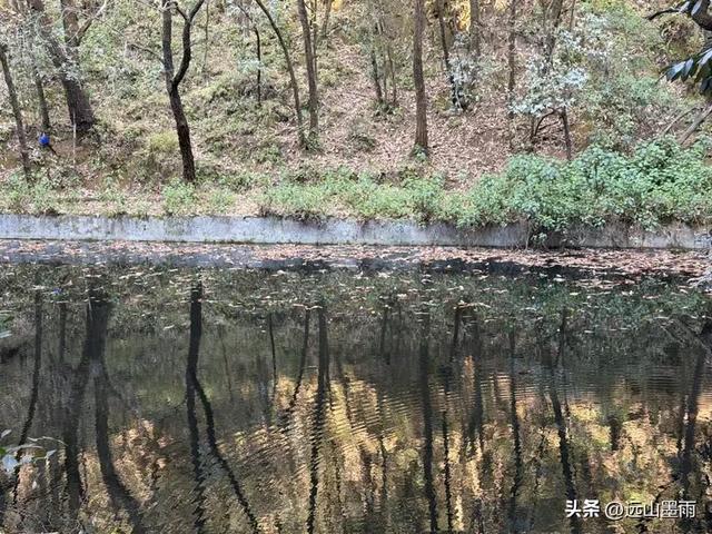 阳光明媚的冬日里,我们爬山去,逛陡坡村、看冬樱花,做晴朗的事