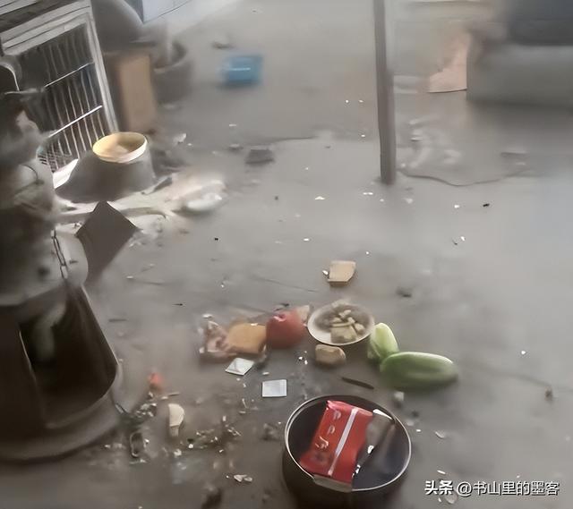 狗咬人风波升级：监控流出，谎言被揭穿，申家姐姐一个决定成关键