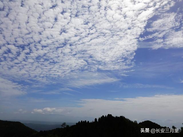 东山洪庆