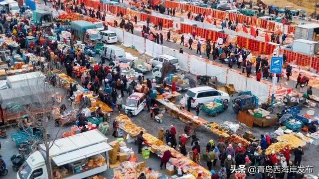 “冬游西海岸”!5条热门线路等你来🤩