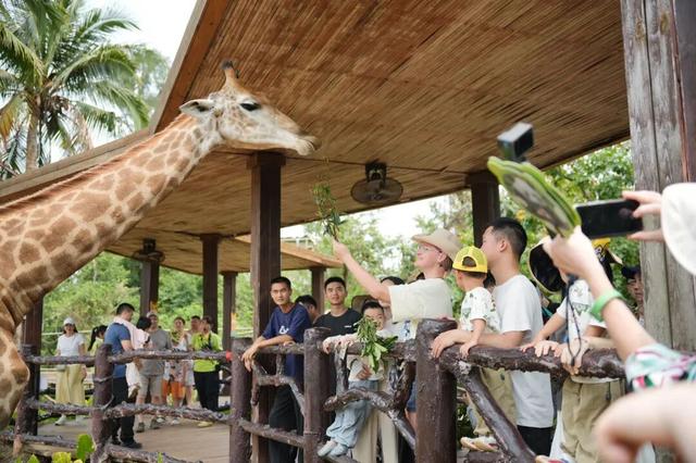 海口入境游氛围愈发浓厚！外国朋友来了都说方便