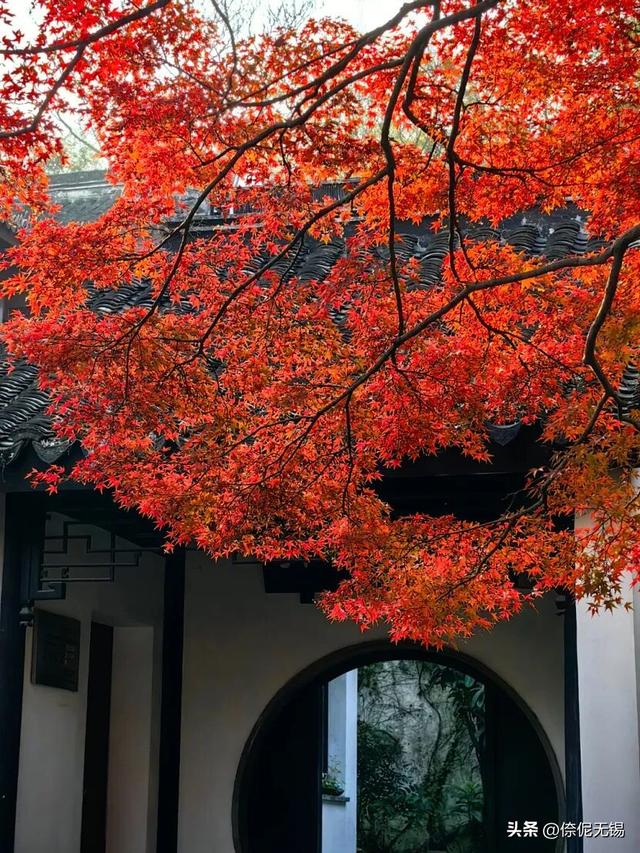 拥堵预警！这周末大家都去......