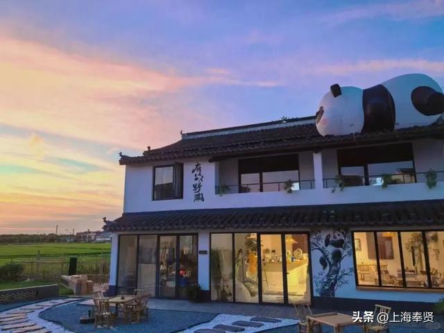 一键查收！“志愿星光 闪耀乡村”，上海市奉贤区12·5国际志愿者日主题活动邀请函