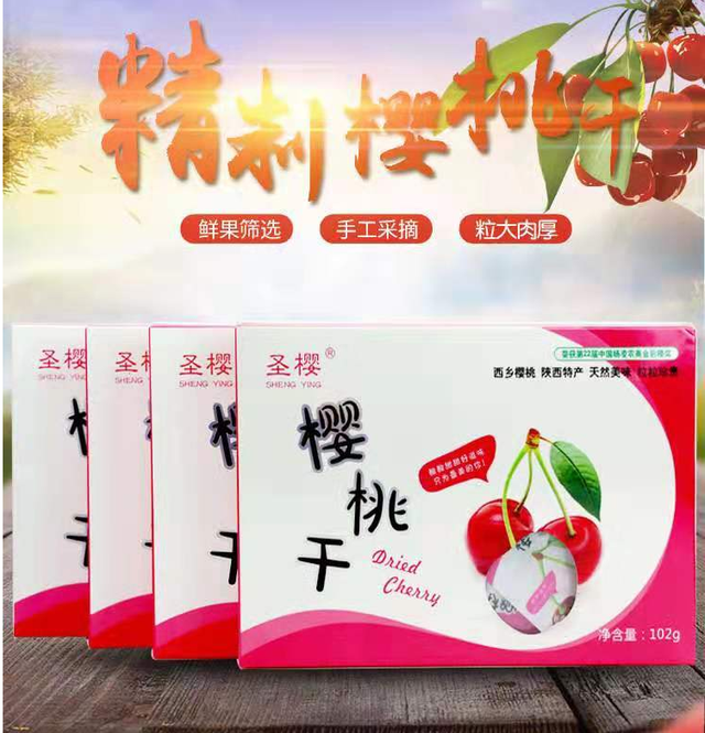 2025汉中秦岭熊猫音乐嗨唱季 | “超硬核”文旅商品优惠来袭，带你畅玩夏日~