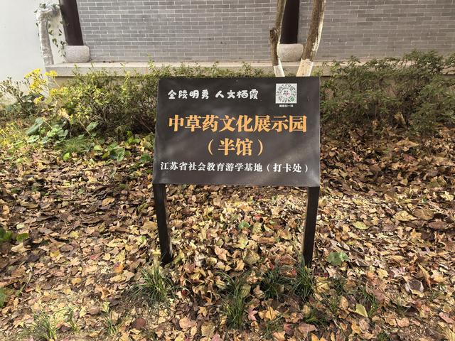 南京栖霞山一日徒步，游千年古刹，看漫山红叶