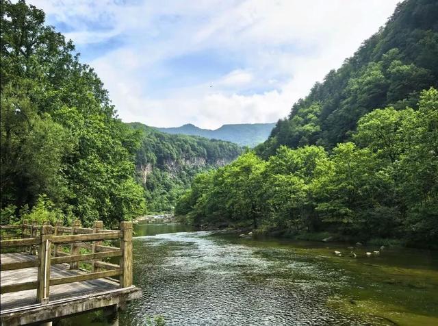 半价优惠！黎坪景区和留坝山水联动！为您打造“清凉续集”→