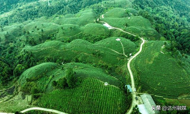 从"蜀道叹"到"画中仙"，大竹用山水写一封千年情书