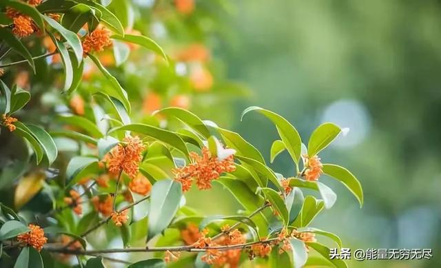 两性关系：除了生理性需求，其实女人最需要男人以下三样东西