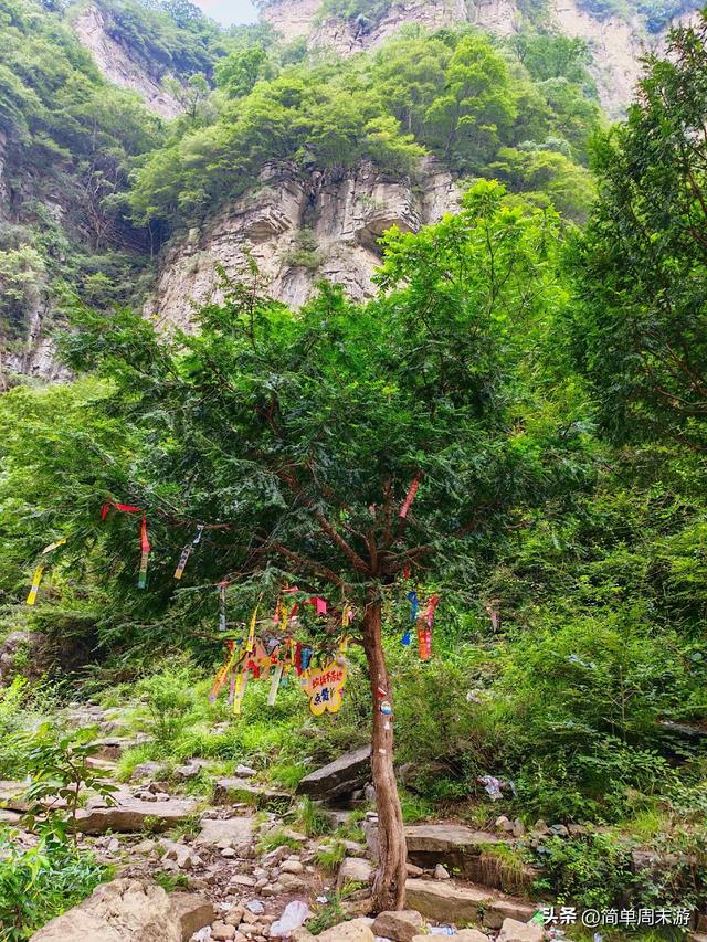 9）山西陵川三载后再赴南太行：18人战暑踏秘境，一程山水一程情