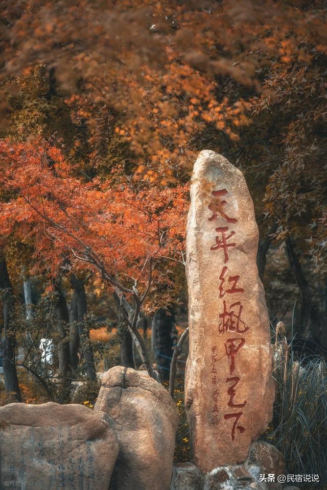 苏州居然还藏着一个“中国四大枫叶胜地”！