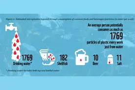 人体 100% 发现微塑料，最新研究：超简单就能避免摄入，中国人每天都在用图片