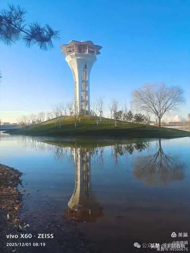 初冬北京朝阳坝河金盏淀:清寒里的静美画卷|申艳娟