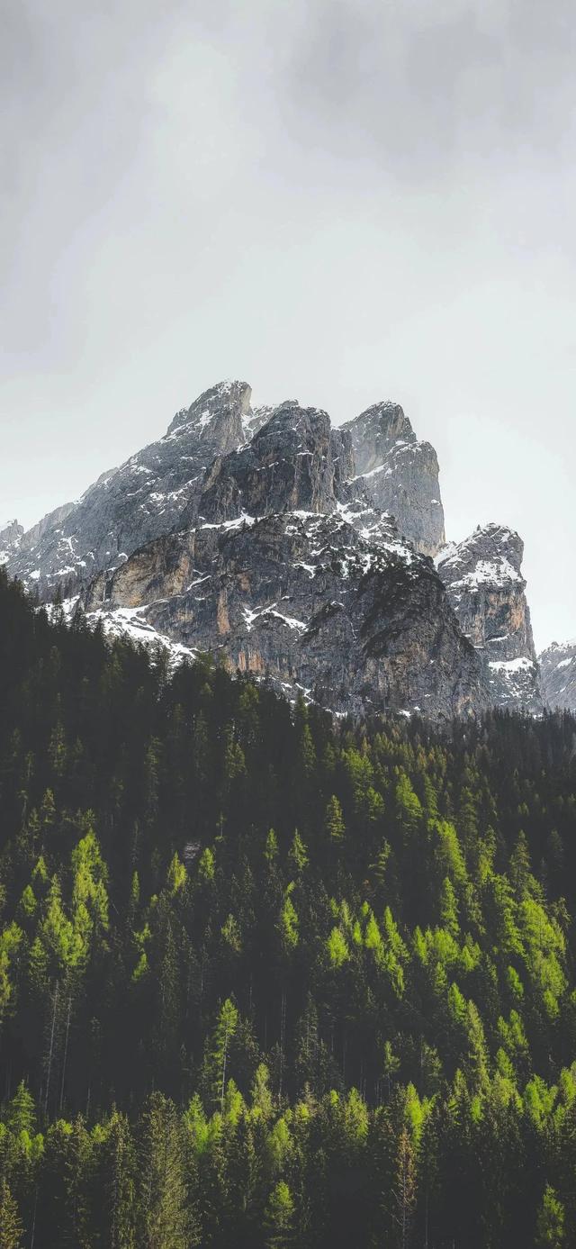 手机壁纸|自然美景，值得欣赏