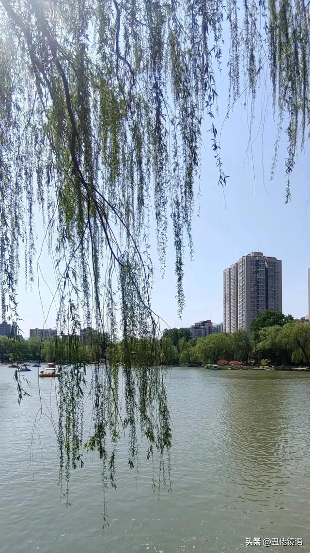 自拍影集（30）紫竹院公园风景绿水轻舟·上