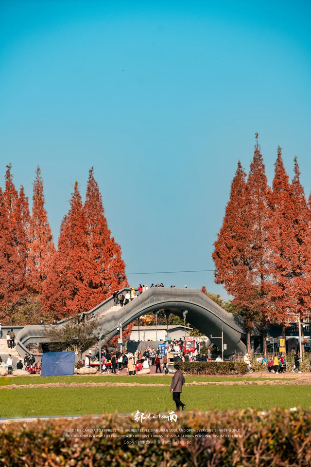 快收藏！成都秋天唯一想去N次的公园，小众超出片，就在郫都区！