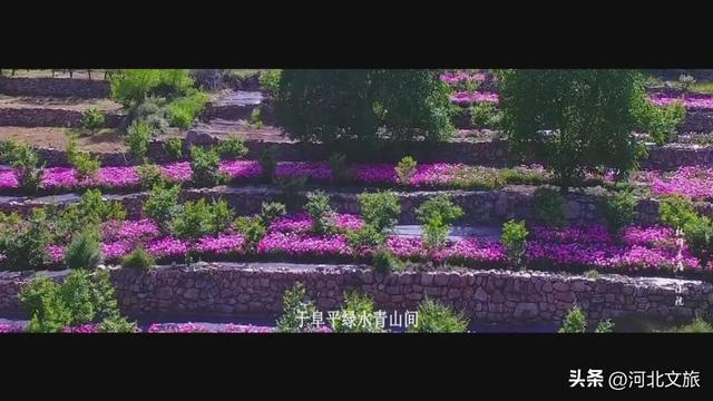 走进保定小院：涞源县白石山片区、阜平县骆驼湾片区