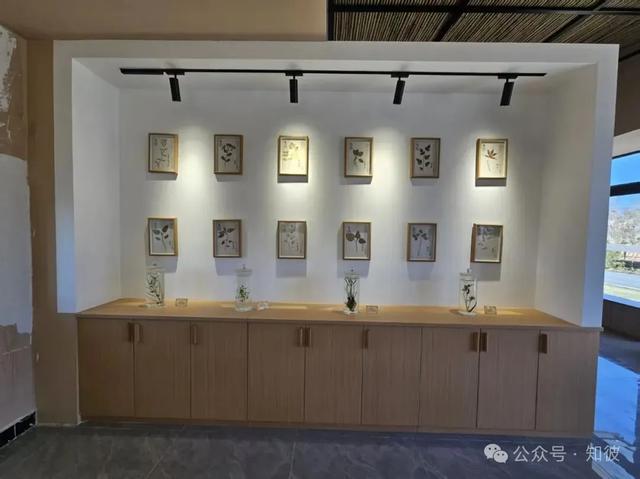 见证文化的流动 作者：郭青珍