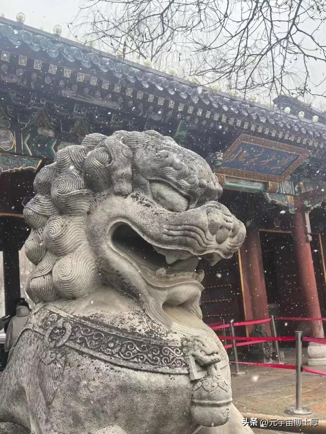 北京下雪后天寒地冻数九寒天大雪小雪冬至又一年注意保暖