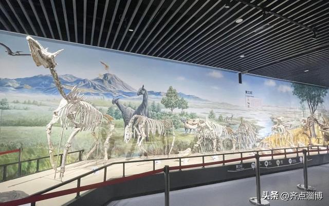 八月来淄博怎么玩，旅游攻略来了→