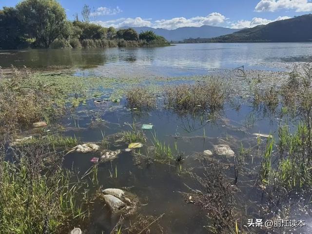 文笔海这么美，那些乱丢垃圾的，你怎么忍心?！