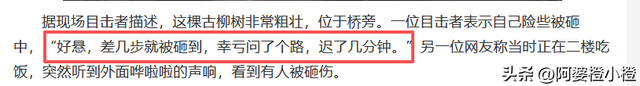 突发！武侯祠百年古柳轰然倒伏，两名游客被砸送医，现场细节曝光