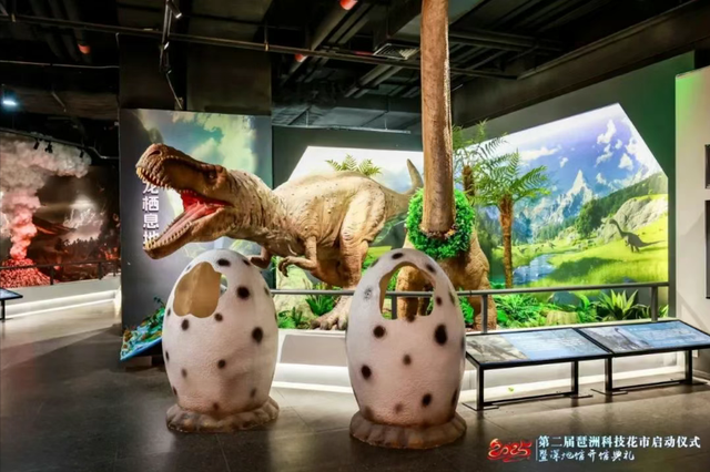 对接会成效 丨 金山地质博物馆五十载厚积薄发，聚力打造博物馆集群
