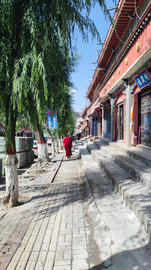 藏传佛教格鲁派四大寺院之一，西宁塔尔寺，碰巧免费进去了
