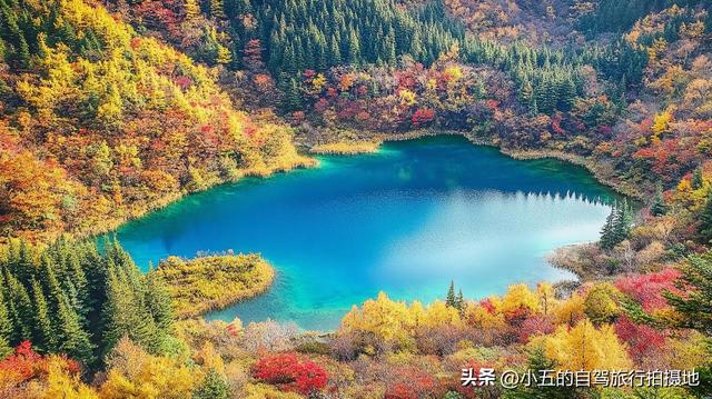 九寨沟秋季赏枫！10 月下旬高光期必看，新徒步线 + 隐藏机位全解锁