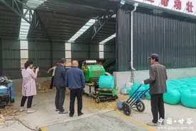 甘谷县畜牧兽医事务服务中心开展“两节”期间安全生产隐患排查工作图片