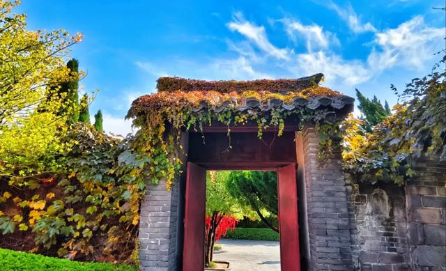 此时的你,被美到了!