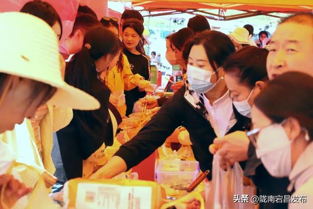 云游草原·乐享宕昌丨宕昌县农文旅融合发展宣传推介暨招商引资系列活动开幕