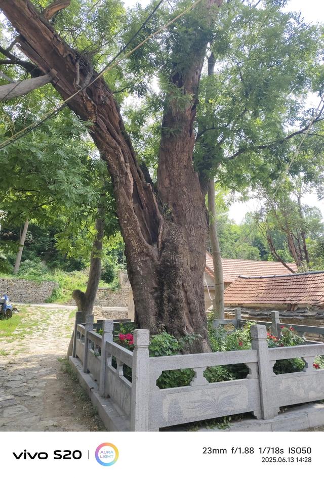乡村一日游—淄川古村落池板村