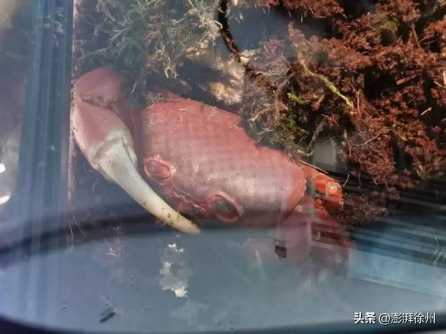 “双节”假期，在邳州过得真带劲！