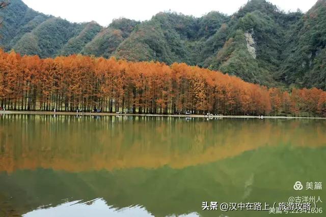 龙池秋色惹人醉