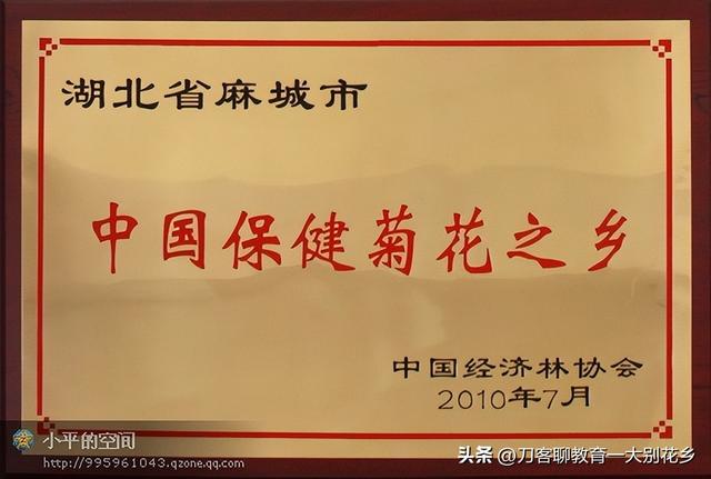 魅力麻城：麻城市的特色产业和文化资源其实还是很丰富的