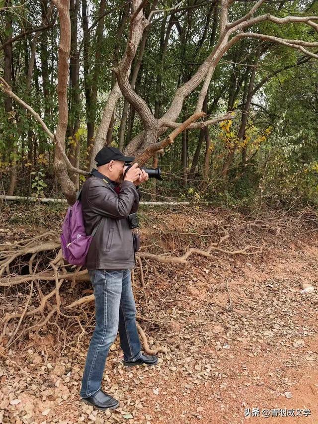 盘龙悠远银杏黄 水中学友情谊长