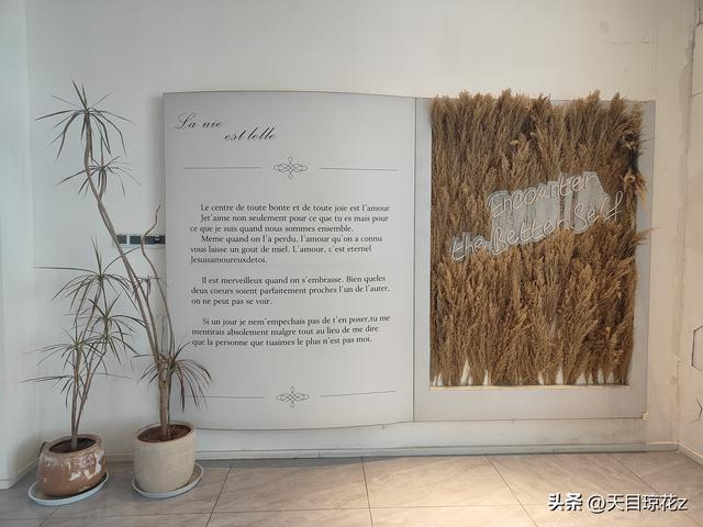 未来空间.未时合集馆