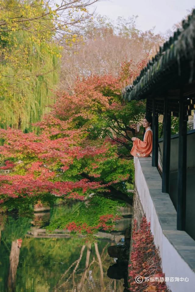 苏州园林秋色拍照攻略!这几个机位包出大片!