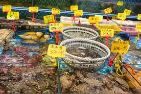 我是山东人，去了一趟福建，忍不住想说说我的真实感受！图片