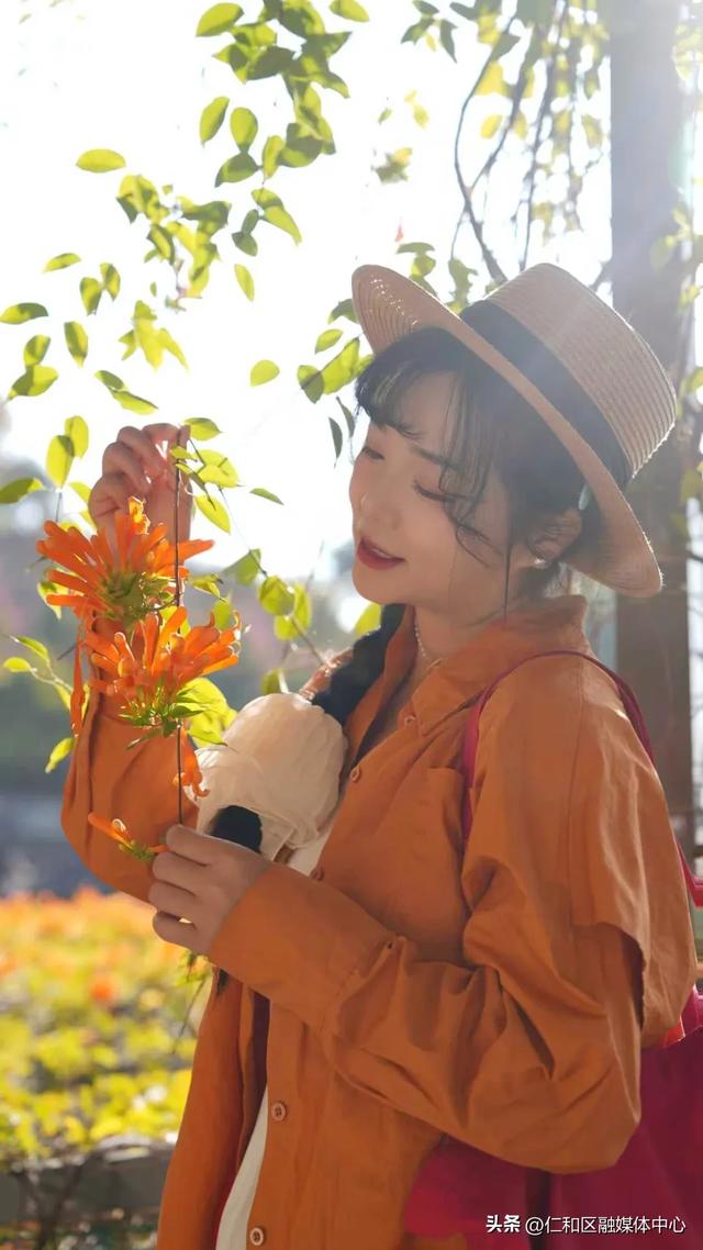 我在仁和等你丨炮仗花瀑如焰,带你提前走进“春节模式”