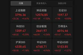 芯片股大爆发！603019，封住涨停图片