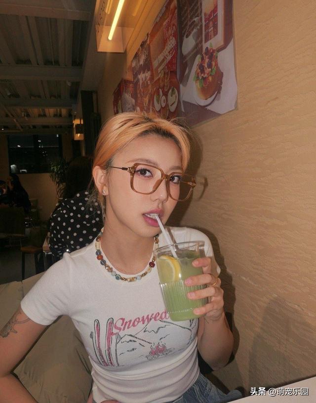 猫咪过生日不看蛋糕，软乎乎暖袋也不碰	，小家伙到底在想啥